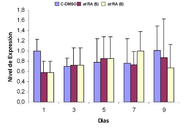 Figura 6. Efecto del tratamiento con at-RA sobre la expresin de MST1 en clulas IMR-32. Se representan los niveles de expresin relativa de MST1 con respecto al control interno GAPDH (expresados como 2-ΔΔCt) frente a los das de tratamiento. (9) indica exposicin al at RA durante 9 das. (5) indica exposicin al at RA durante los 5 primeros das de tratamiento. Los valores que se muestran (media  SEM) se calcularon a partir de los resultados obtenidos tras la realizacin de 3 experimentos realizados por triplicado.